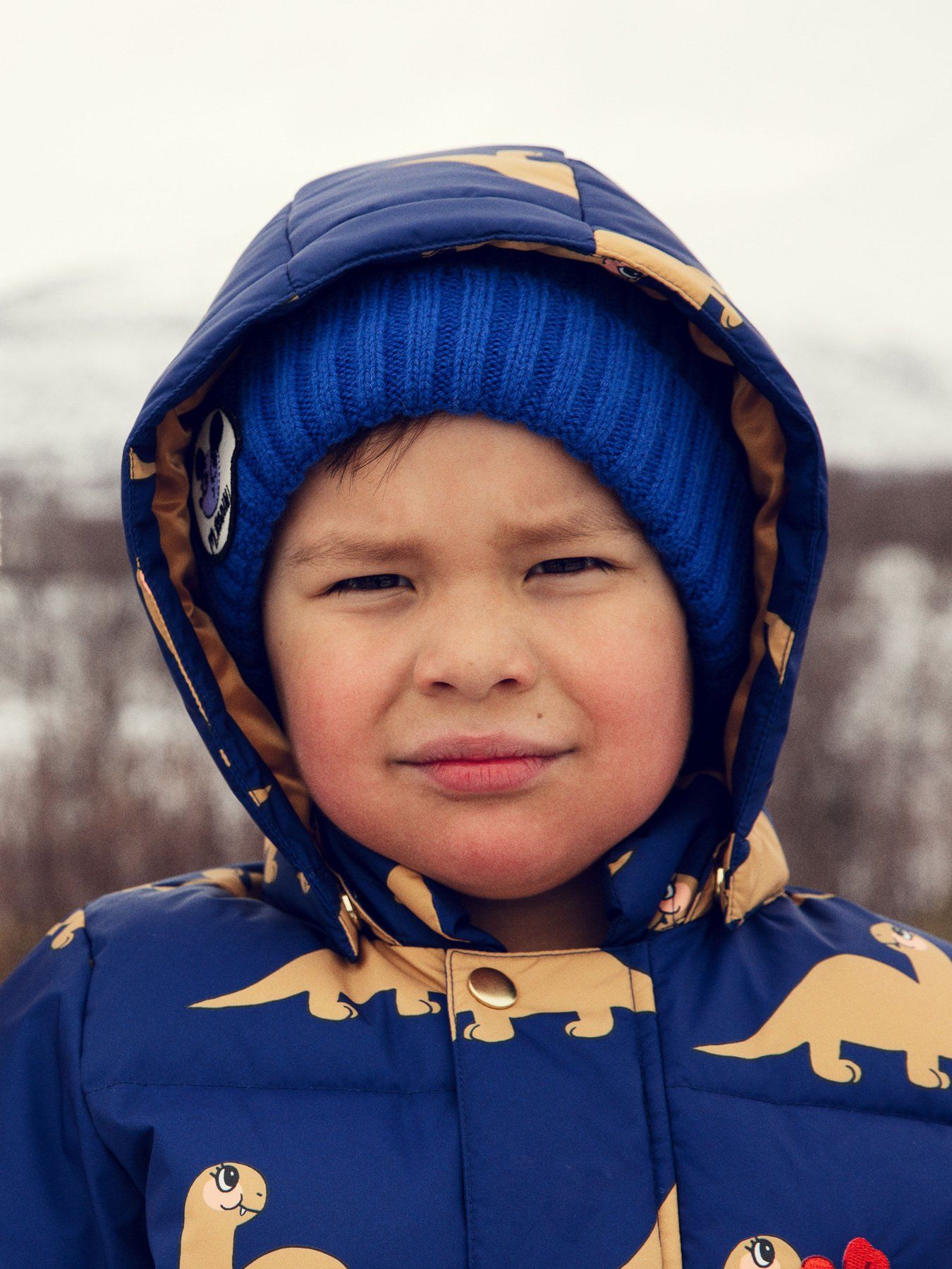 Dinos hooded puffer jacket