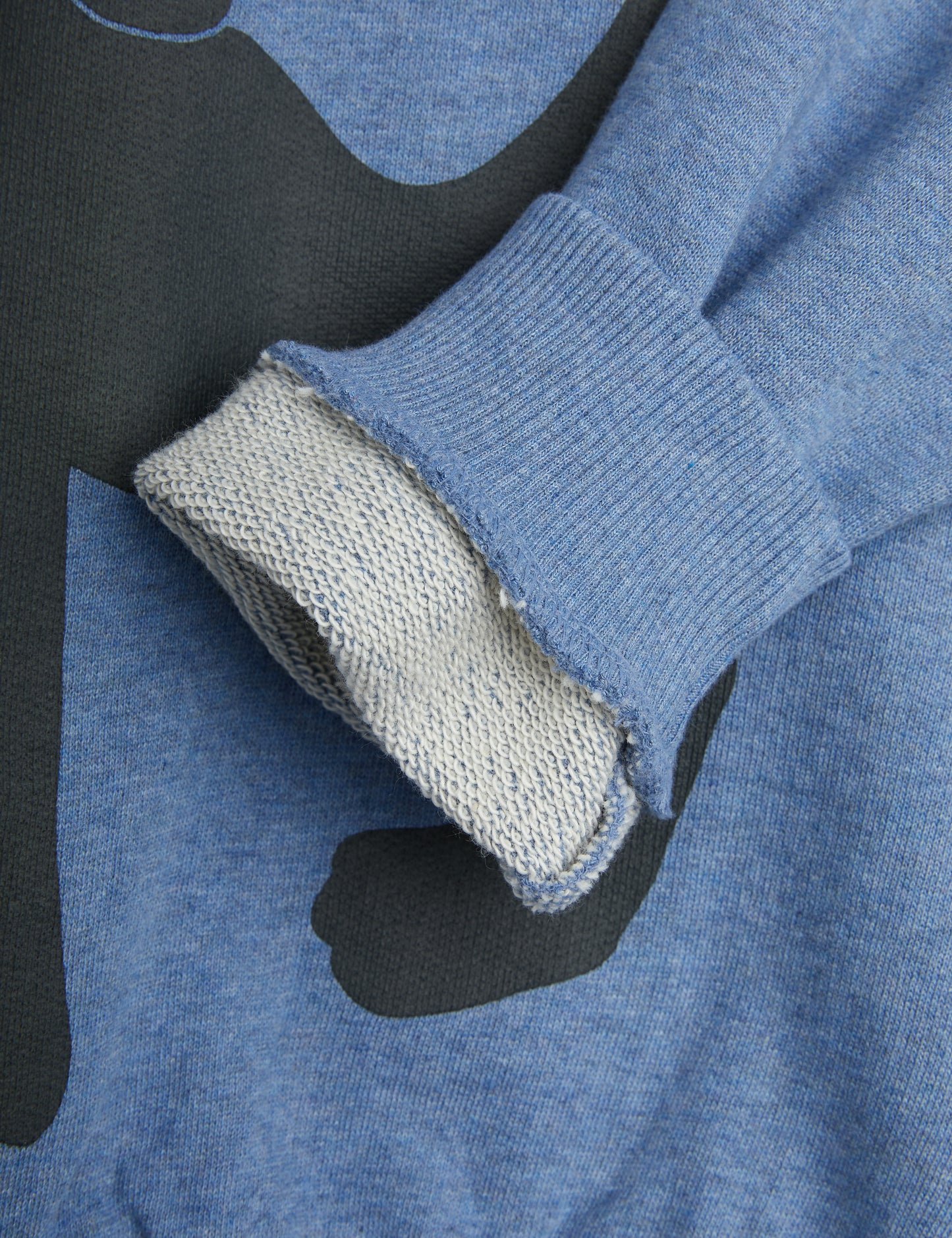 Panther sweatshirt