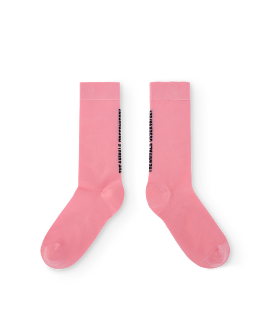 Pink Snail Socks