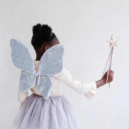 Sparkle sequin wings