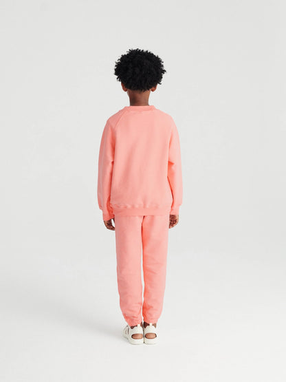 Sweatshirt in Pink Peach